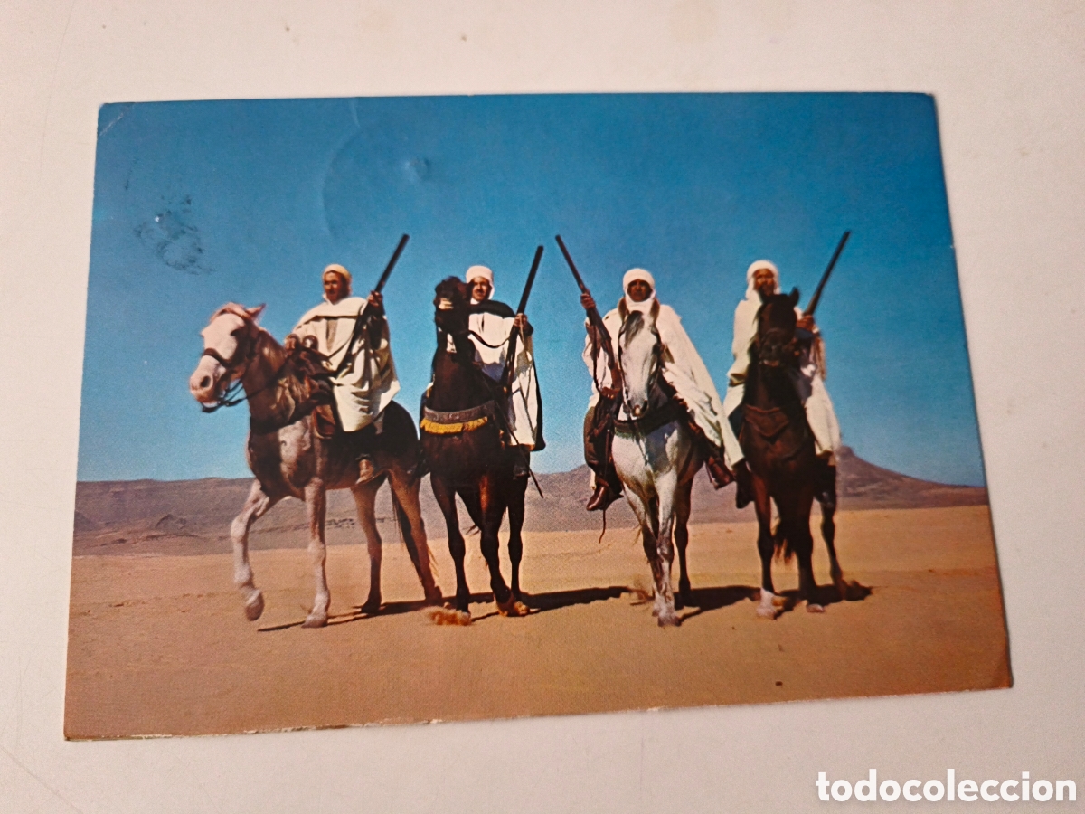 Postcards: Postal Algerie Cavaliers Sahariens