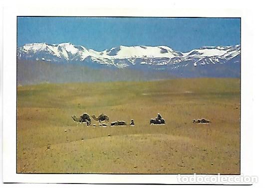Postales: CARAVANE DANS LE MOYEN ATLAS