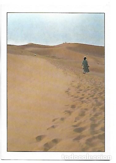 Postales: MARCHE DANS LE DESERT.- MERZOUGA / MARRUECOS