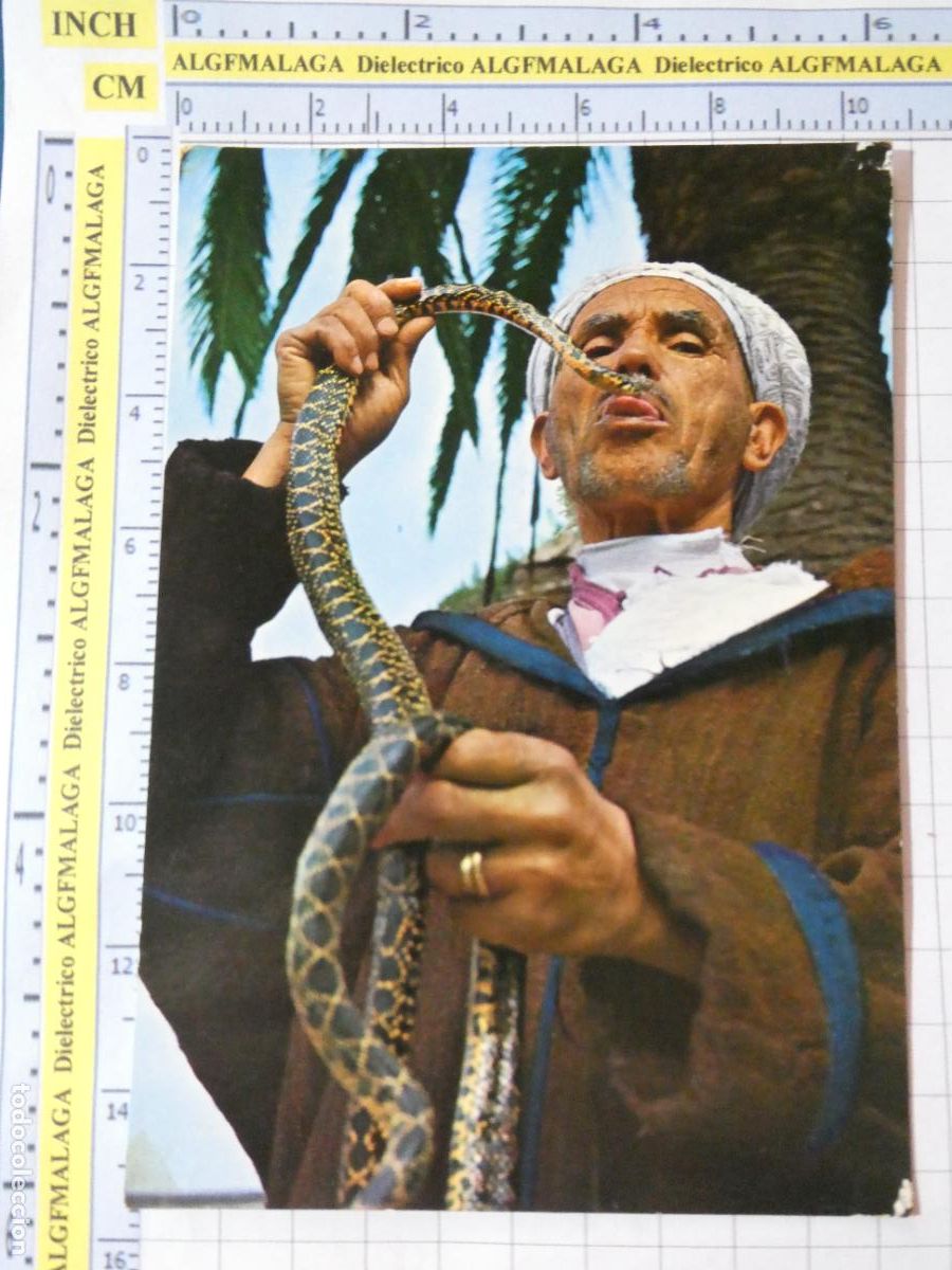 Postales: POSTAL DE MARRUECOS. A&Ntilde;O 1969. TIPISMO FOLKLORE ENCANTADOR DE SERPIENTES. 2265