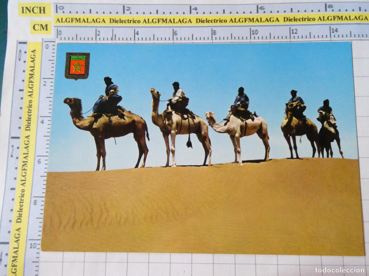 Postales: POSTAL DE MARRUECOS. A&Ntilde;O 1967. CARAVANA DE MEHARISTAS DE M'HAMID. CAMELLOS TUAREGS. 2268