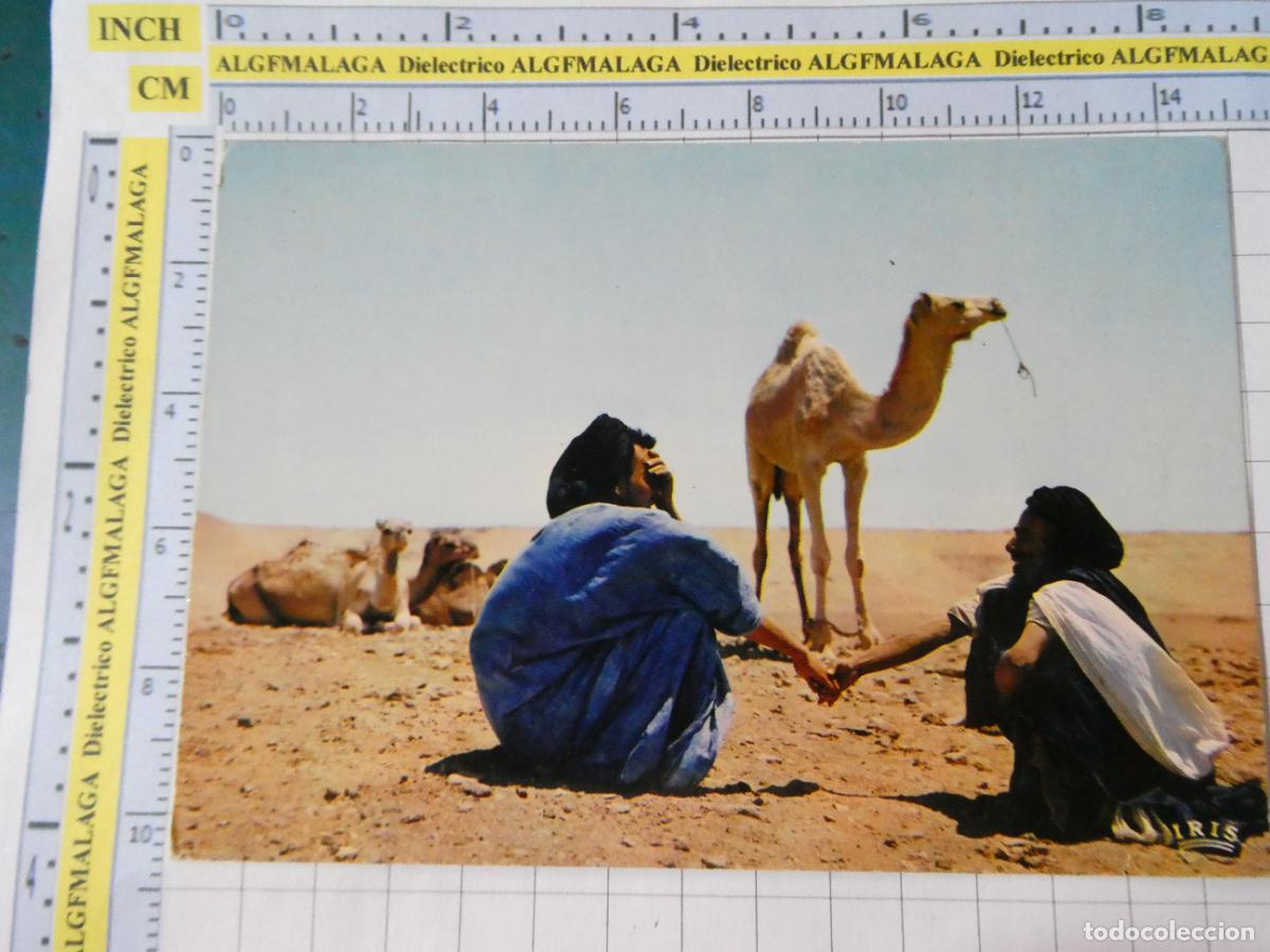 Postales: POSTAL DE MARRUECOS. SAHARA ESPA&Ntilde;OL. MERCADO DE CAMELLOS TUAREG. 30015 SABENA. 2271