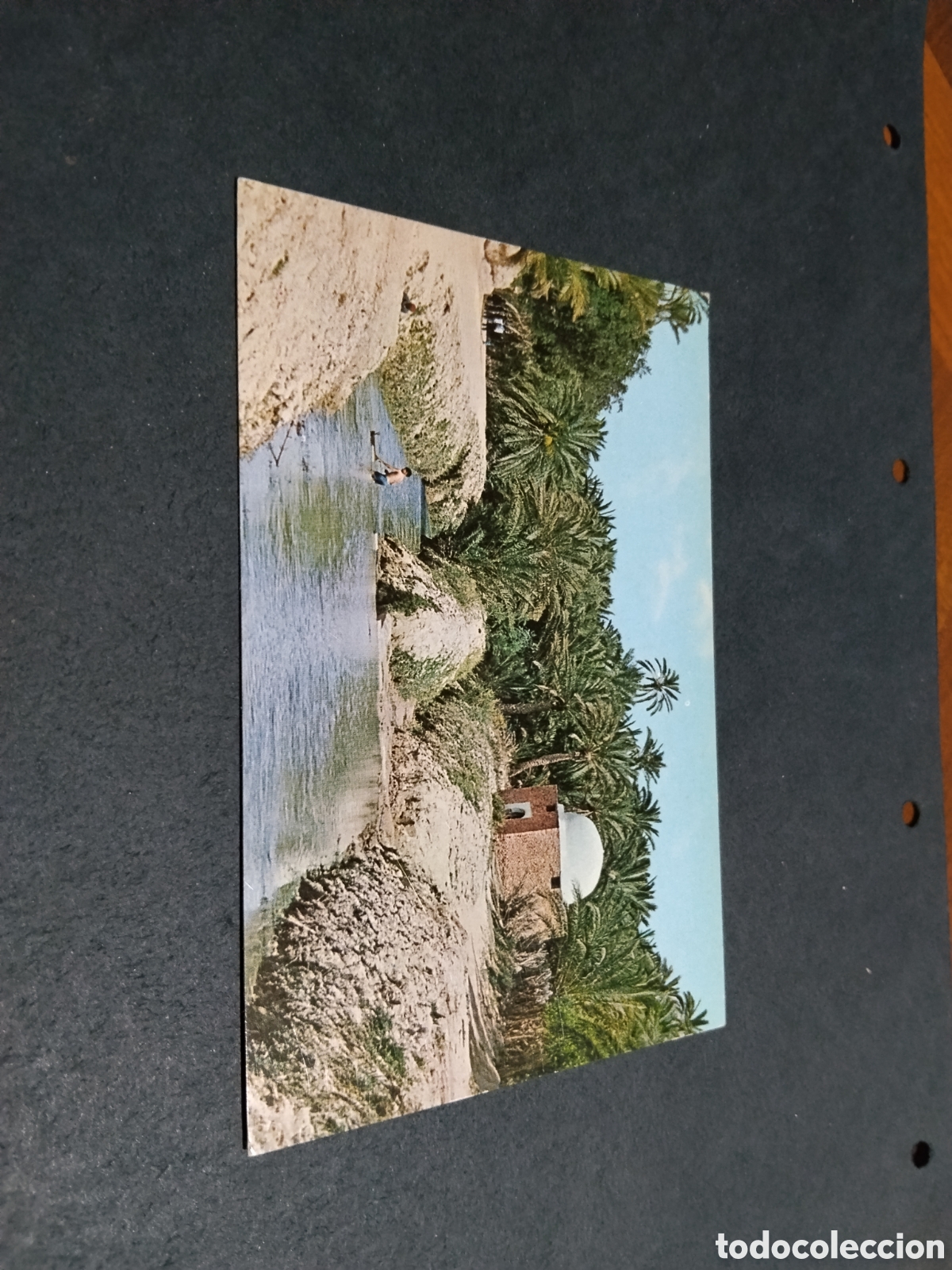 Postales: Postal Tozeur Oasis T&uacute;nez