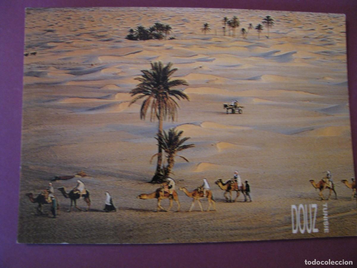 Postales: POSTAL DE TUNEZ. TUNISIE.