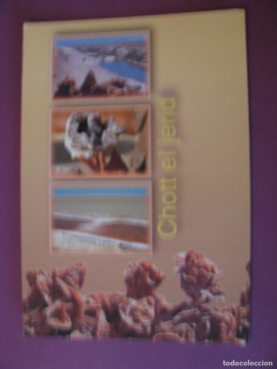 Postales: POSTAL DE TUNEZ. TUNISIE. LAGO SALADO CHOTT EL JERID