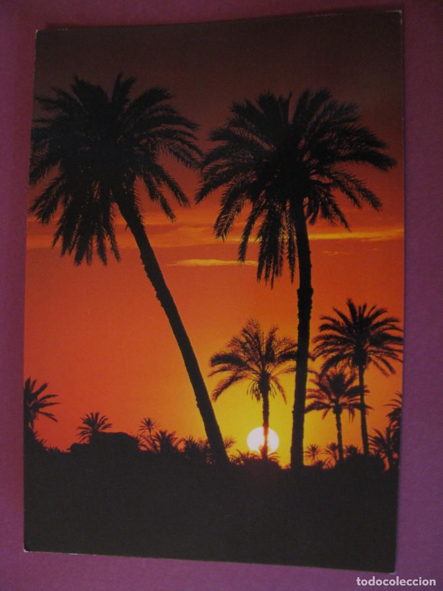 Postales: POSTAL DE TUNEZ. TUNISIE. ISLA DE YERBA DJERBA ATARDECER