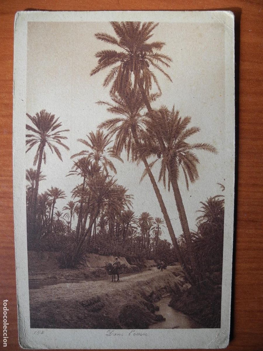 Postales: Postal Oasis. Editeurs L&L 164. Nueva