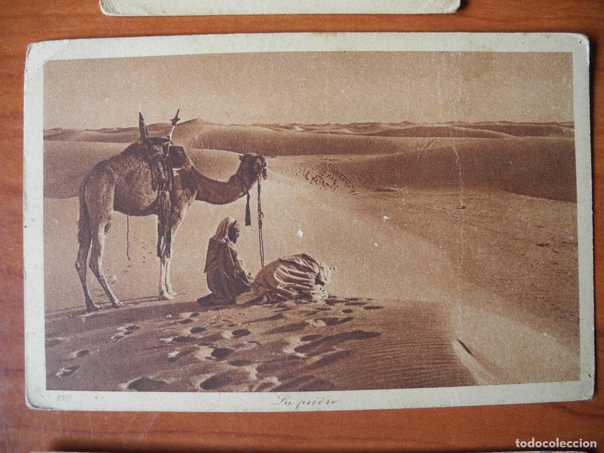 Postales: Postal la pregaria, desierto, camello. Editeurs L&L