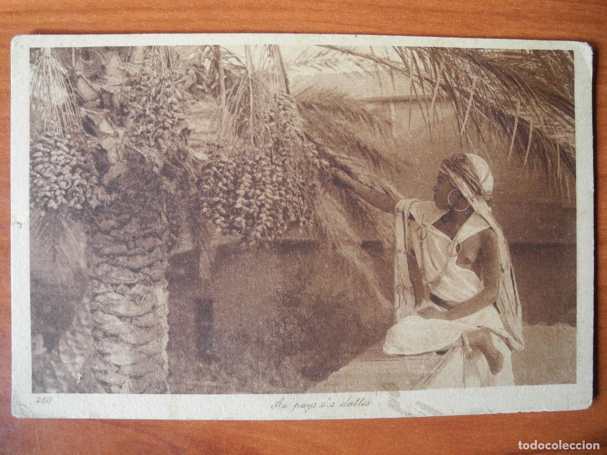 Postales: Postal En el pa&iacute;s de los d&aacute;tiles.. Editeurs L&L 260