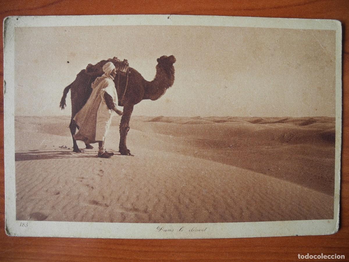 Postales: Postal En el desierto L&L 183