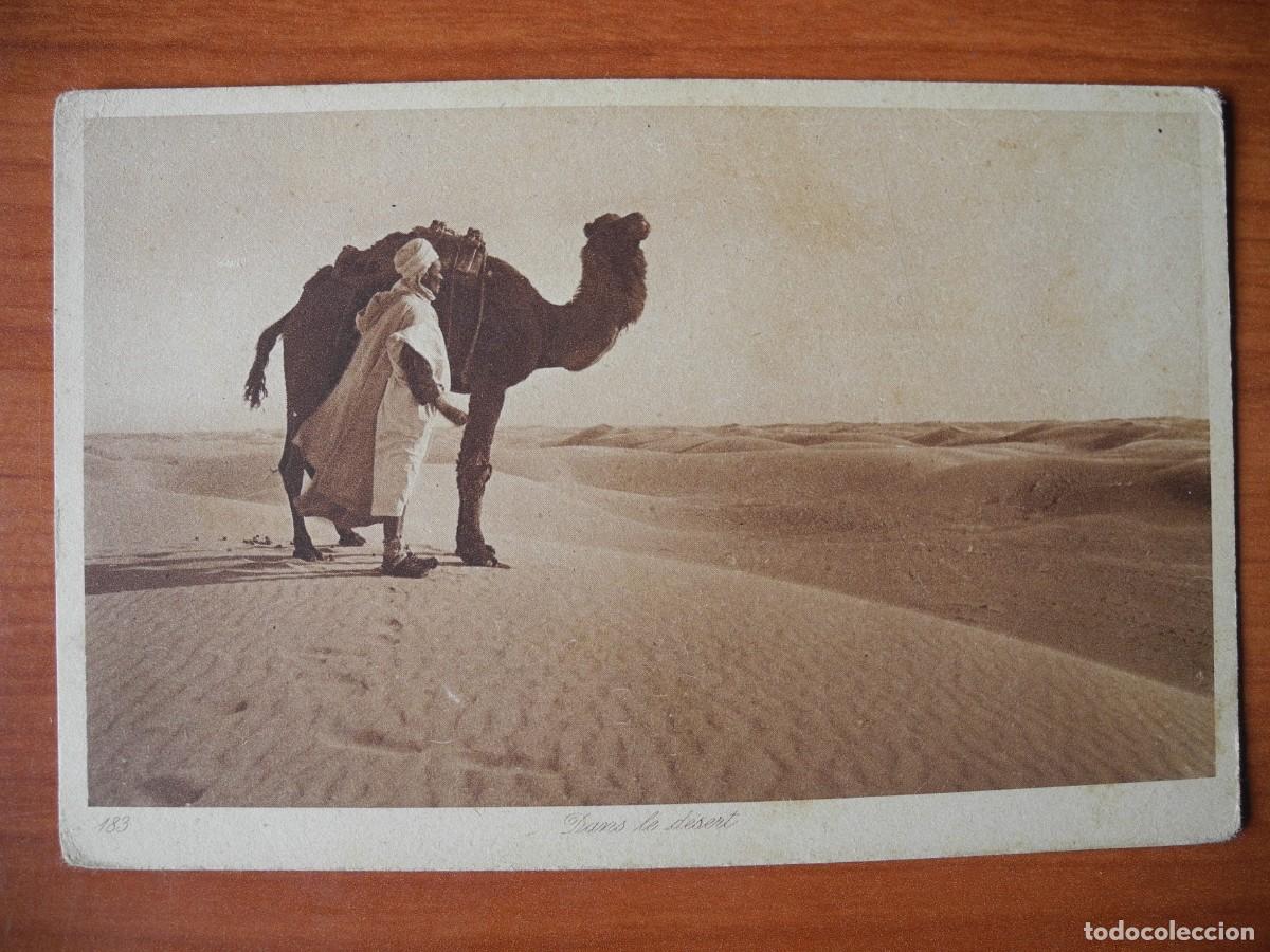 Postales: Postal En el desierto L&L 183