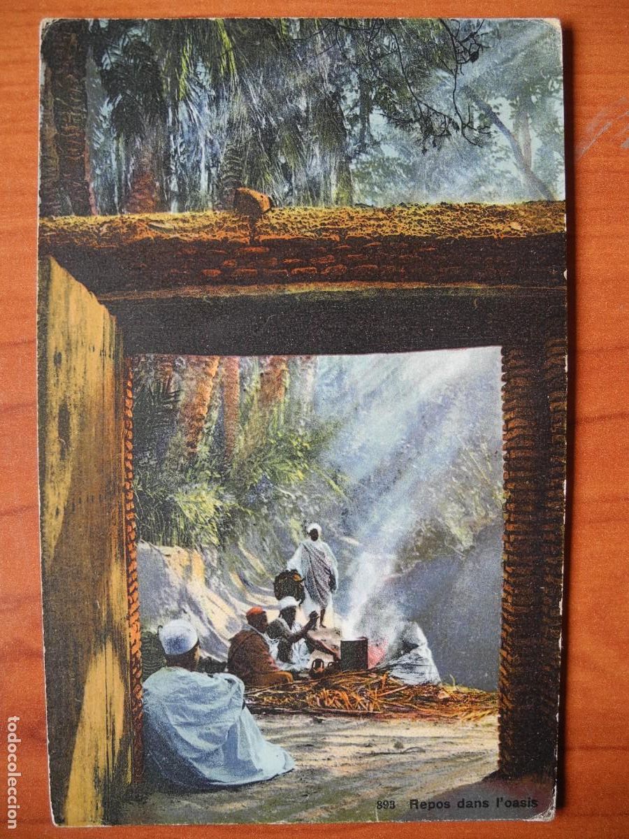 Postcards: Descanso en el oasis n. 893. Nueva