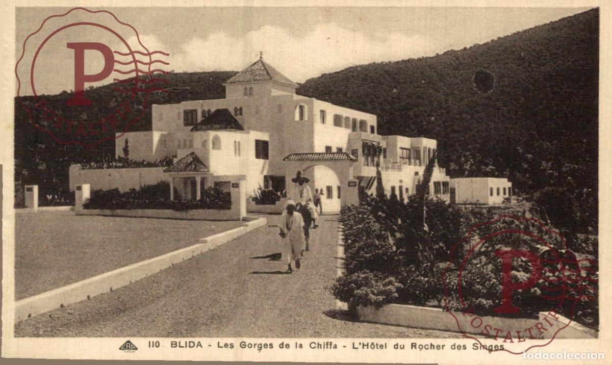 Postales: ARGELIA. ALGERIE. Blida les gorges de la Chiffa lh&ocirc;tel du rocher des singes