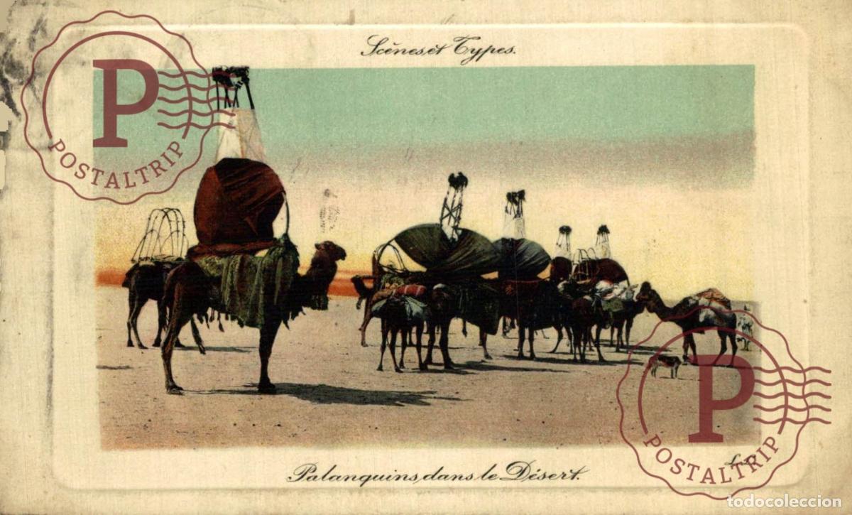 Postales: ARGELIA. ALGERIE. Palanquins dans le D&eacute;sert