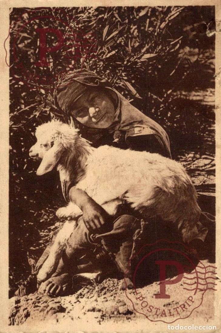 Postales: ARGELIA. ALGERIE. LES DEUX AMIS. DAMAGE. DA&Ntilde;ADA.
