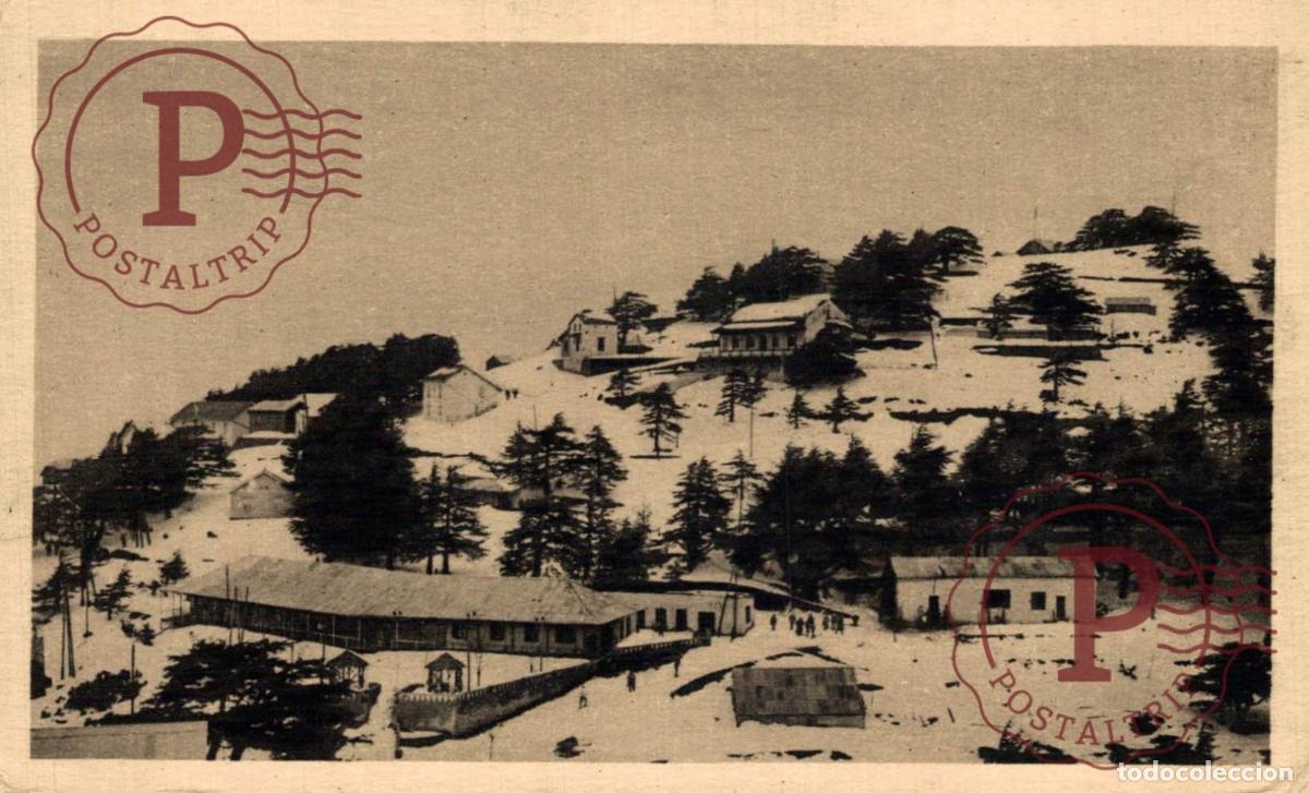 Postales: ARGELIA. ALGERIE. CHREA SOUS LA NEIGE