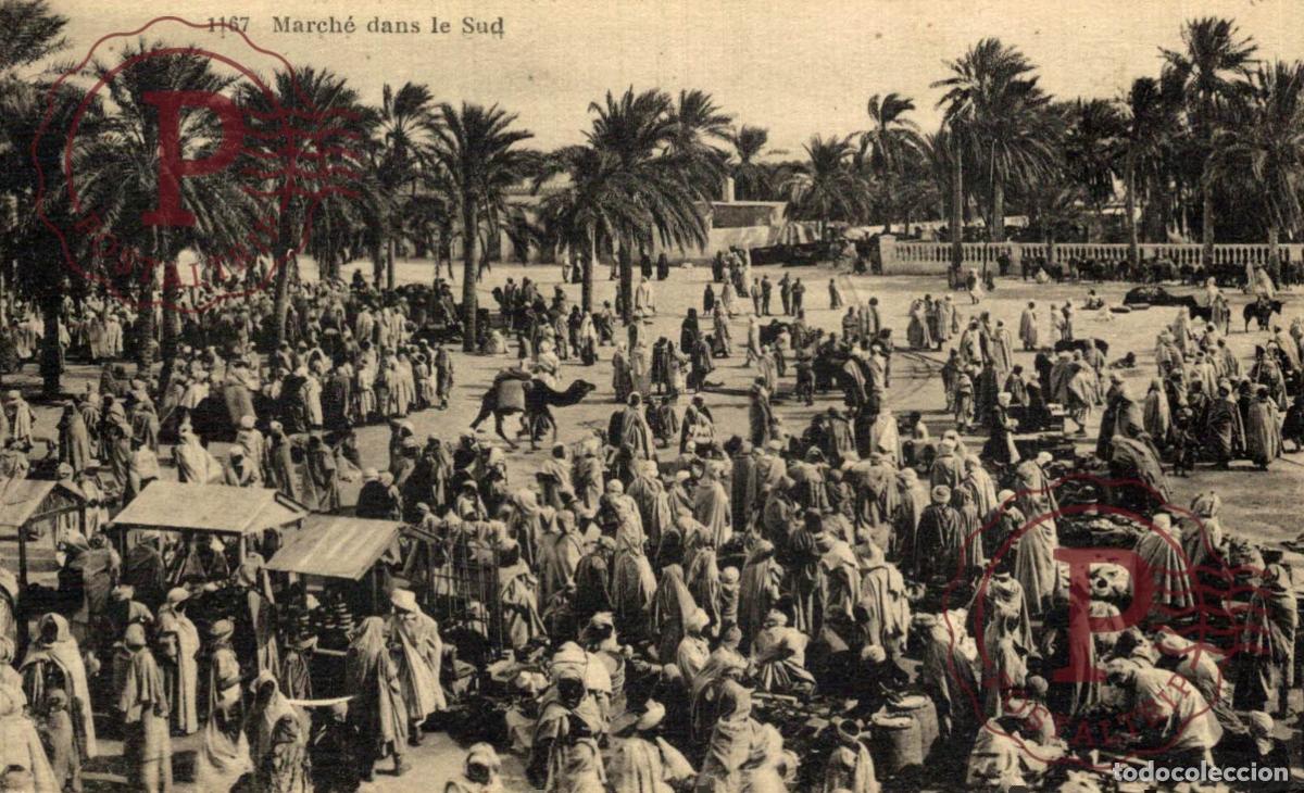 Postales: ARGELIA. ALGERIE. March&eacute; dans le sud.