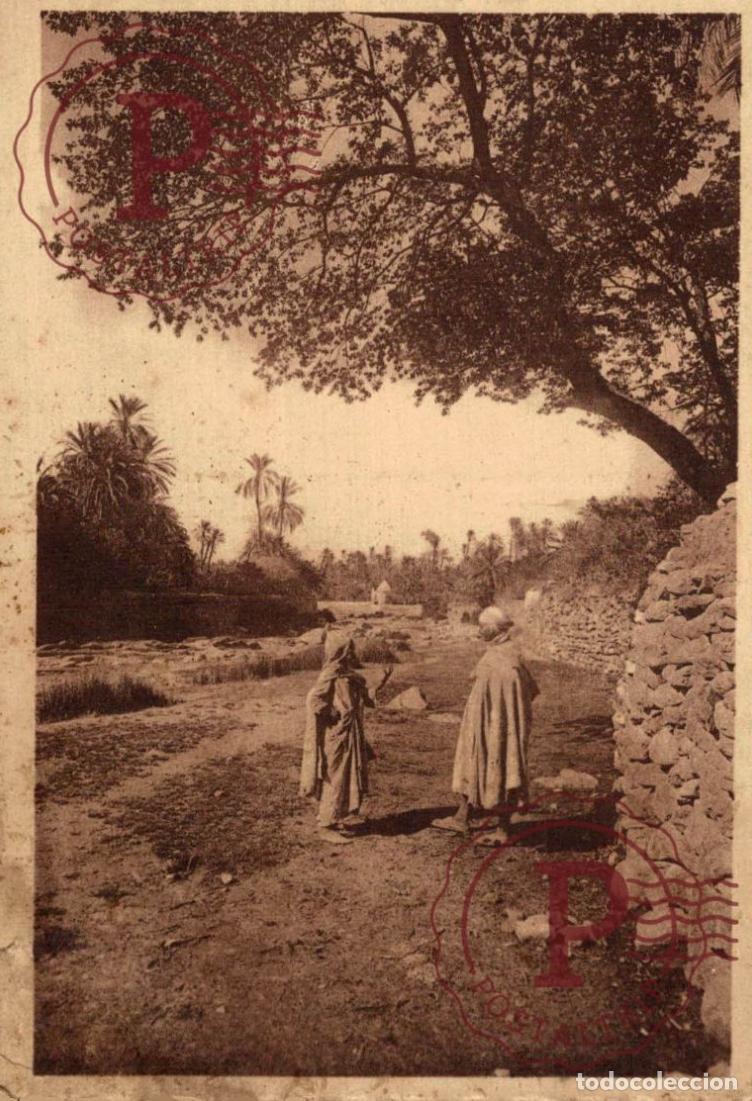 Postales: ARGELIA. ALGERIE. BOU SAADA.