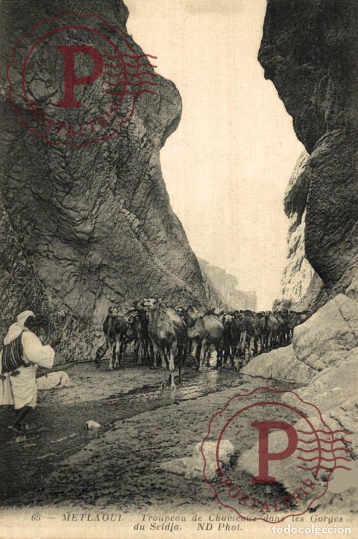 Postales: ARGELIA. ALGERIE. METLAOUI.