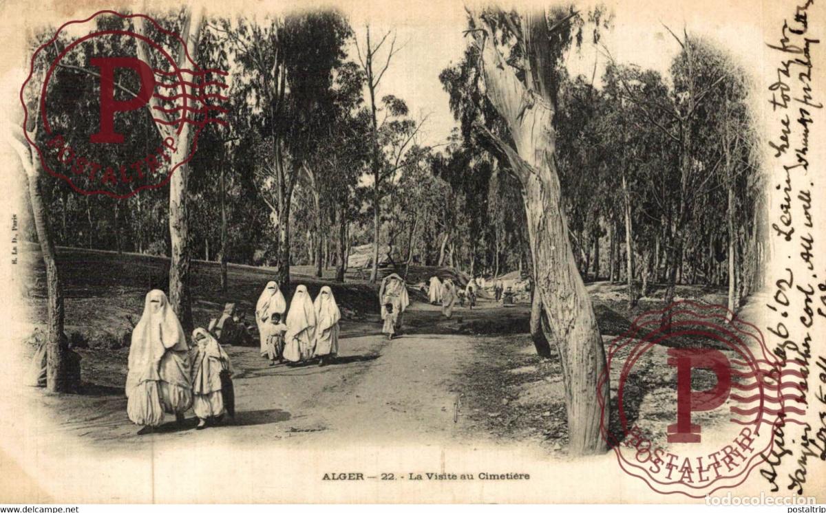 Postales: Alger La visite au Cimeterie ARGELIA ALGERIA ALG&Eacute;RIE