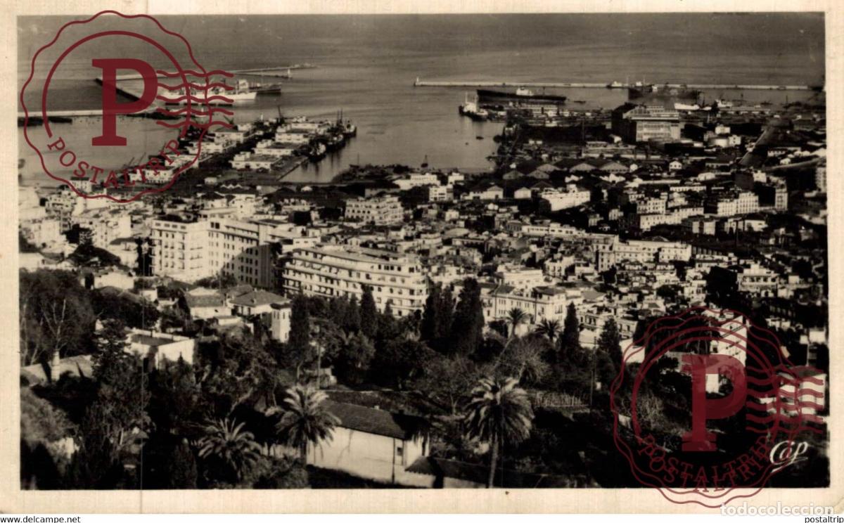 Postales: Alger Vue Gen&eacute;rale ARGELIA ALGERIA ALG&Eacute;RIE