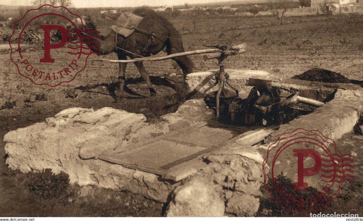 Postales: Puits Arabe Scenes Algeriennes ARGELIA ALGERIA ALG&Eacute;RIE