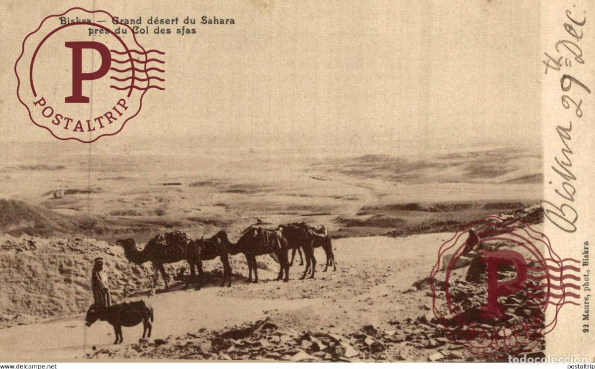 Postales: Biskra Grand d&eacute;sert du Sahara Pr&eacute;s du Col des sfas ARGELIA ALGERIA ALG&Eacute;RIE