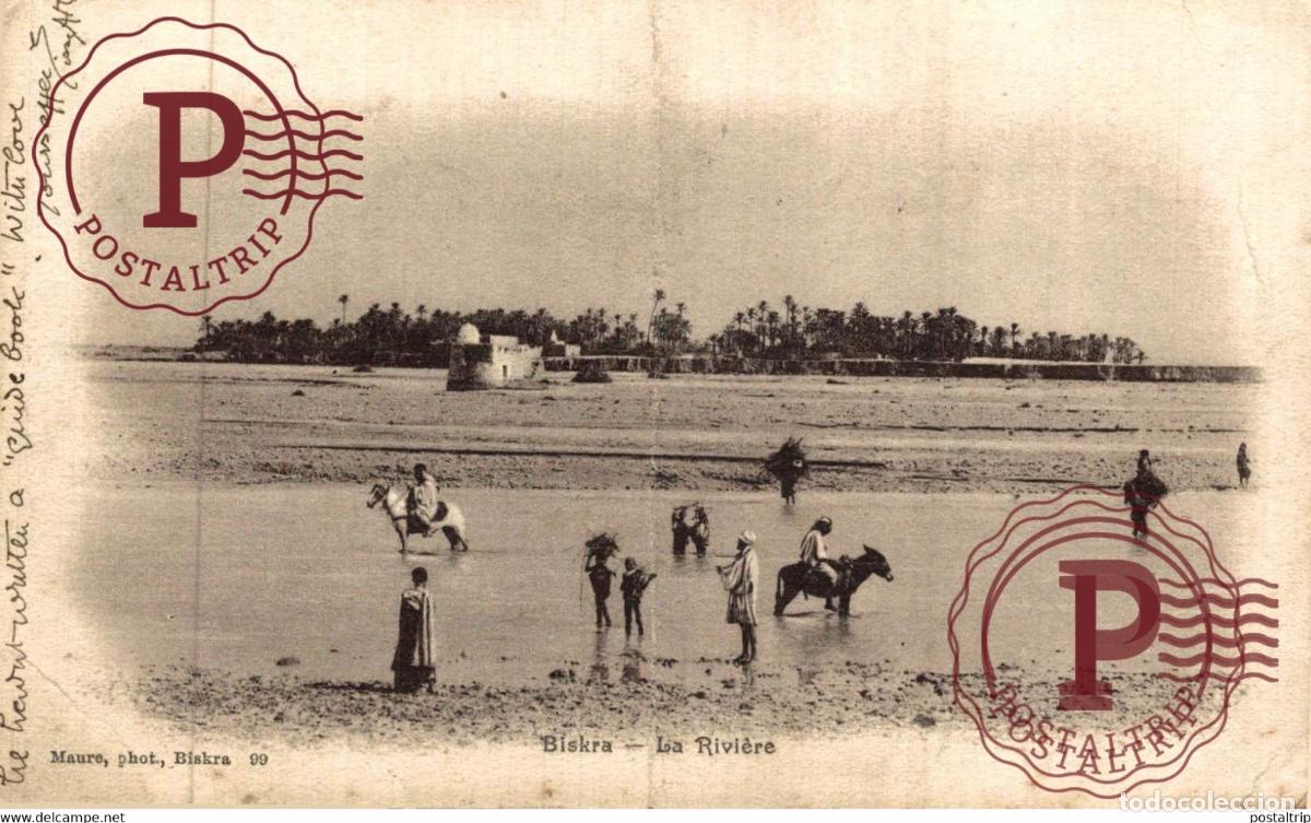 Postales: Biskra La Rivi&egrave;re ARGELIA ALGERIA ALG&Eacute;RIE