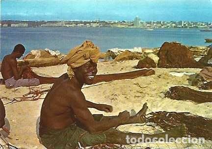 Postales: Angola ++ & Postal, Pescador de la isla de Luanda, Ed. Comer (317)