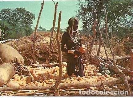 Postales: Angola ++ & Postal, Chica Muila en Mulata, Ed. Comer (308)