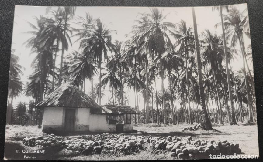 Postales: MOZAMBIQUE, QUELIMANE, PALMAR, POSTAL ANTIGUA