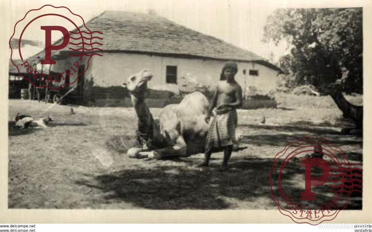 Postales: KENIA. MOMBASA. REAL PHOTO. . PLAIN BACK