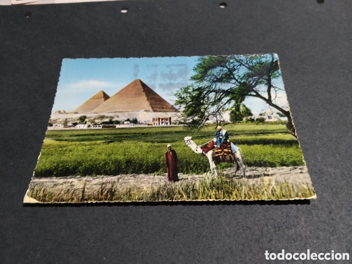 Postales: Postal Egipto pir&aacute;mides de Giza