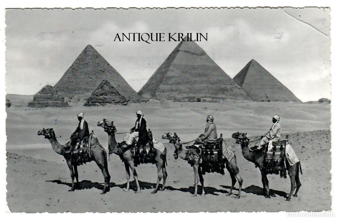 Postales: EGYPT N&ordm; 511 CAMEL CARAVAN NEAR GIZA PYRAMID / FRANQUEADA