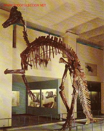 Postales: DINOSAURIO - Foto 1