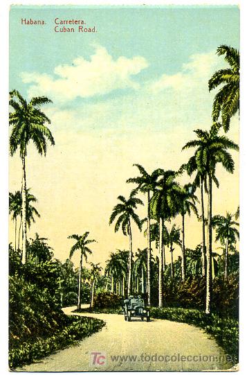 Cartoline: HABANA, CARRETERA CUBAN ROAD,    P24860