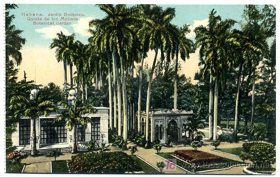 Cartoline: HABANA, JARDIN BOTANICO, QUINTA DE LOS MOLINOS,    P24872