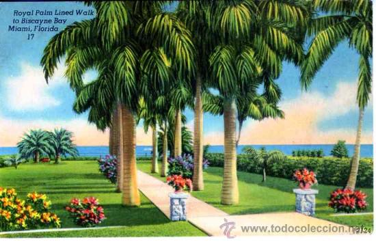 Postales: Miami. Florida. Sin circular - Foto 1