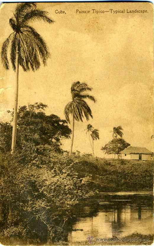 Postales: Sagua la Grande, Cuba. Sin circular - Foto 1