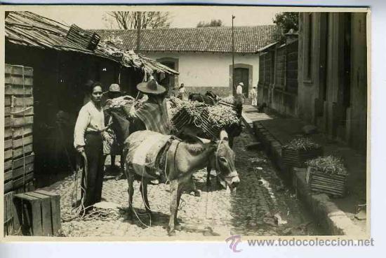 Postales: Mexico. Sin circular
