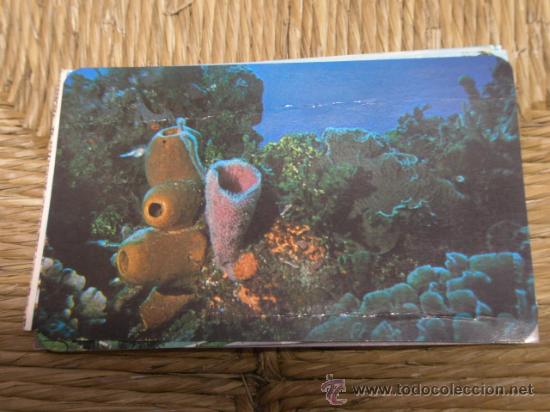 Cartoline: Postal escrita