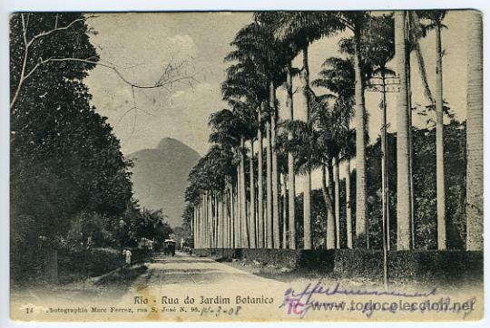 Postais: RIO DEJANEIRO BRASIL RUA DO JARDIM BOTANICO, P28180