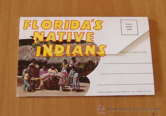 Postales: FLORIDAS NATIVE INDIANS - Foto 2