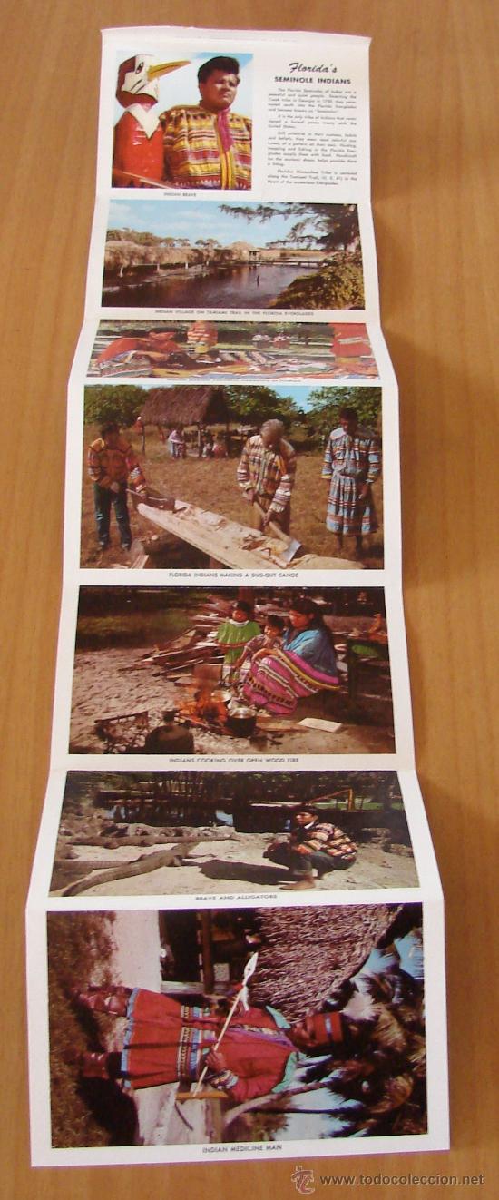 Postales: FLORIDAS NATIVE INDIANS - Foto 3