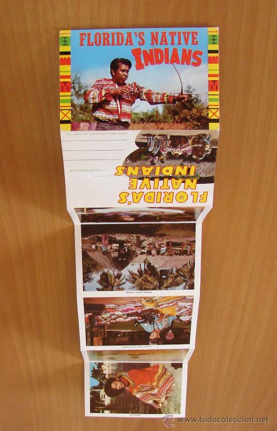 Postales: FLORIDAS NATIVE INDIANS - Foto 4