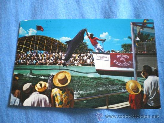 Postales: POSTAL MIAMI ACUARIUM 1973 CIRCULADA - Foto 1
