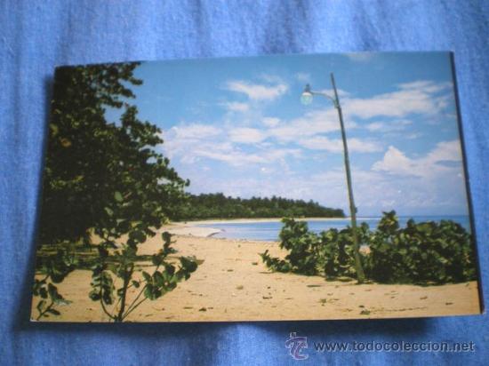 Postales: POSTAL SAMANA PLAYA EL PORTILLO DE LAS TERRENAS NO CIRCULADA - Foto 1