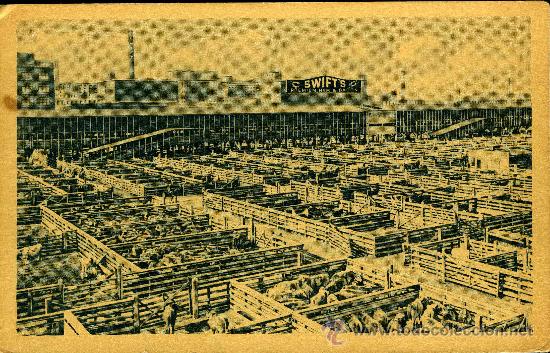 Postales: Chicago. SWIFT & COMPANY&acute;S. Sin circular. - Foto 1