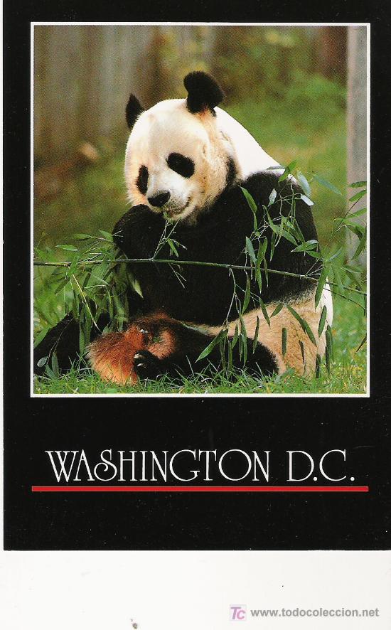 Postales: WASHINGTON D.C. - Foto 1