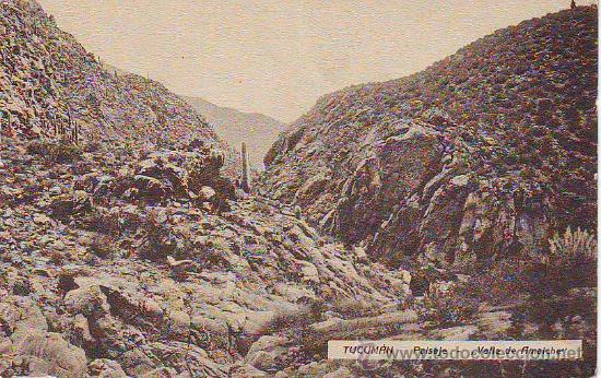 Cartes Postales: argentina. tucuman paisaje - valle de amaiche